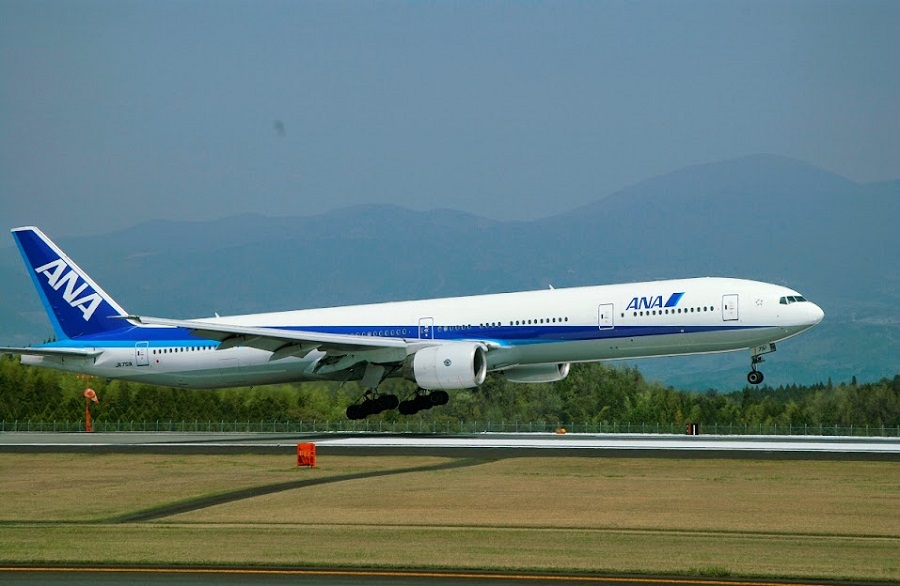 写真提供/ANA