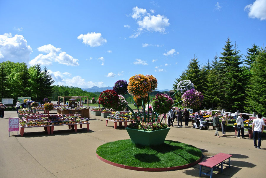 立体花壇のスターマイン