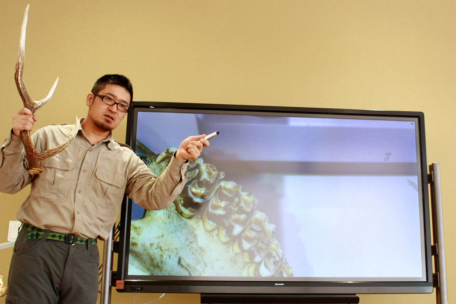 エゾシカの角を使い、知床の自然をレクチャーするスタッフ(写真提供/知床財団)