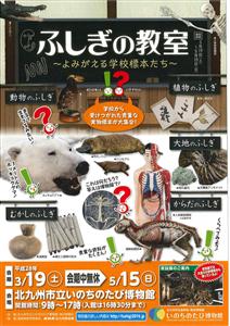 貴重な実物標本が集合する「ふしぎの教室」展