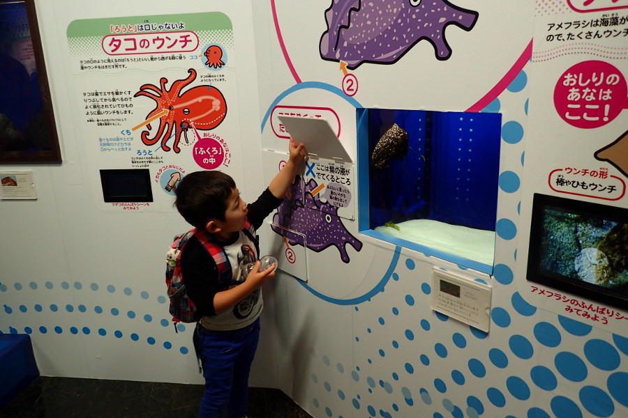 体験型クイズラリー形式で、海の生き物のウンチ事情を知る「海のウンチ展」 体験型クイズラリー形式で、海の生き物のウンチ事情を知る