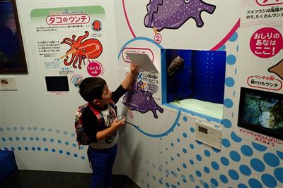 体験型クイズラリー形式で、海の生き物のウンチ事情を知る