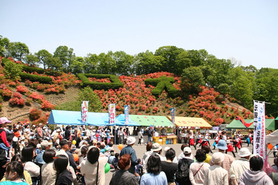 会場となる「広尾町大丸山森林公園」には、約1万2000本のエゾヤマツツジが咲く
