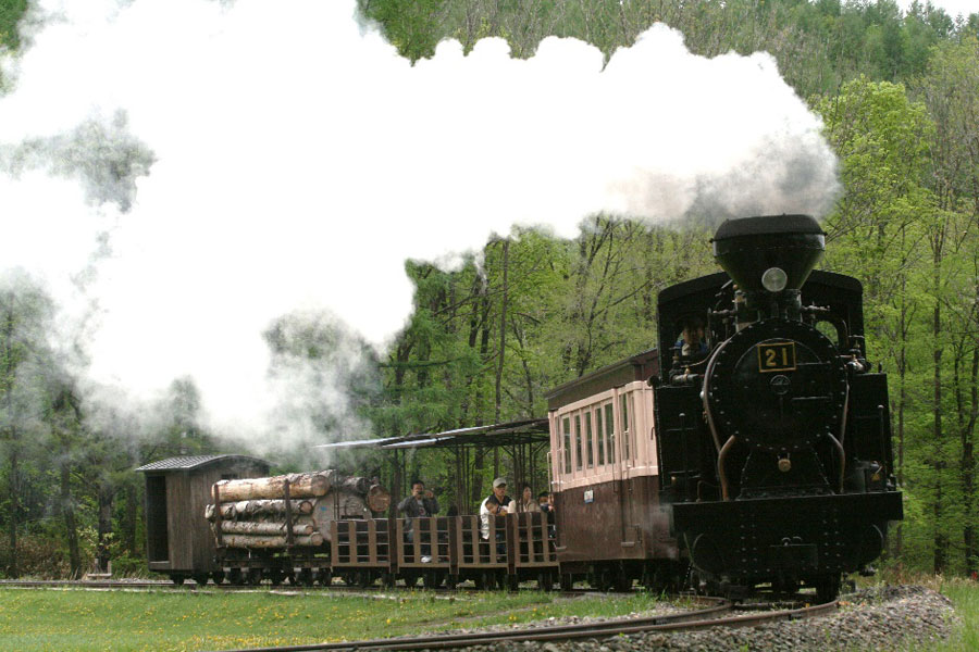 緑に囲まれた園内を白煙を上げて走る「雨宮21号」