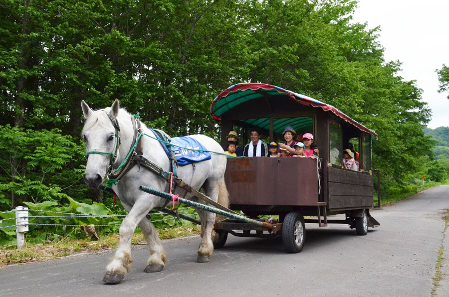 牧場内を周遊できる“ばんば馬車”