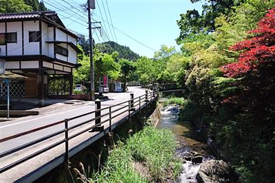 ひっそりとしているが、新緑が美しい現在の宝泉寺温泉
