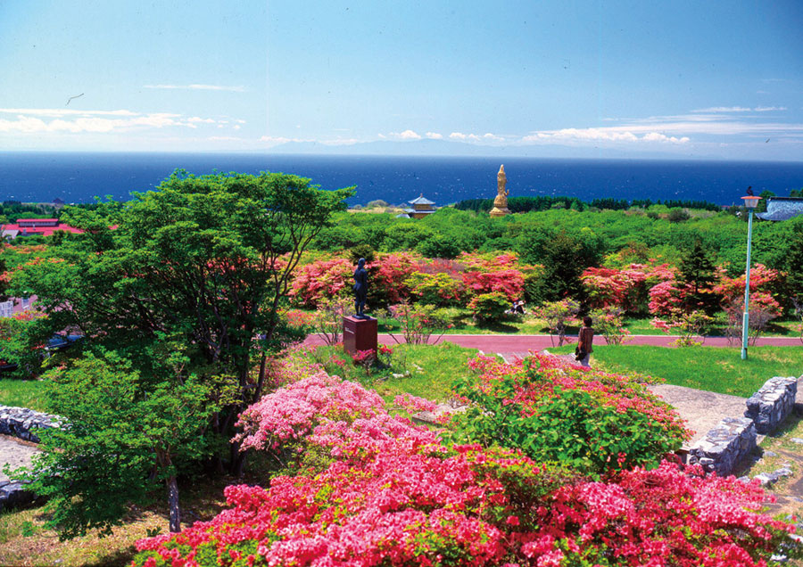 津軽海峡をバックとした色鮮やかなつつじ