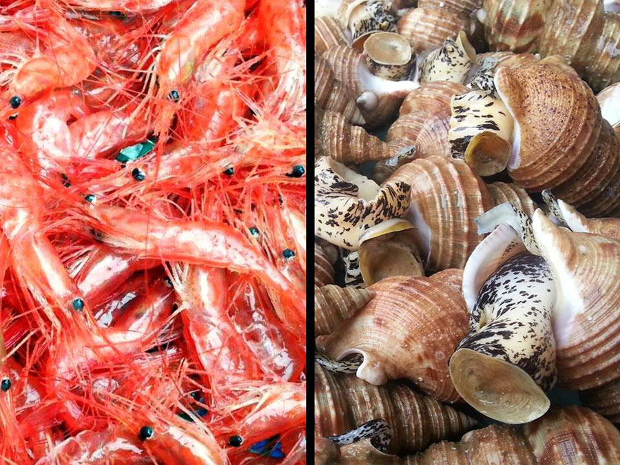 甘えびとつぶ貝をこの日限りの特別価格で