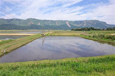 阿蘇の外輪山と水田の現在。“阿蘇らしい風景”は変わらずここに