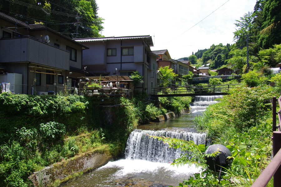 湯平温泉の裏に流れる花合野川の近くでは、ウグイスの声が響いていた 湯平温泉の裏に流れる花合野川の近くでは、ウグイスの声が響いて