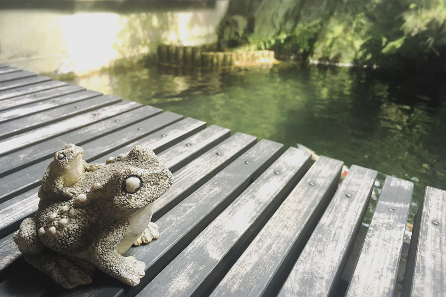 観光客が温泉街に“かえる”のを待つ「湯の宿 入船」のカエル 観光客が温泉街に“かえる”のを待つ「湯の宿 入船」のカエル