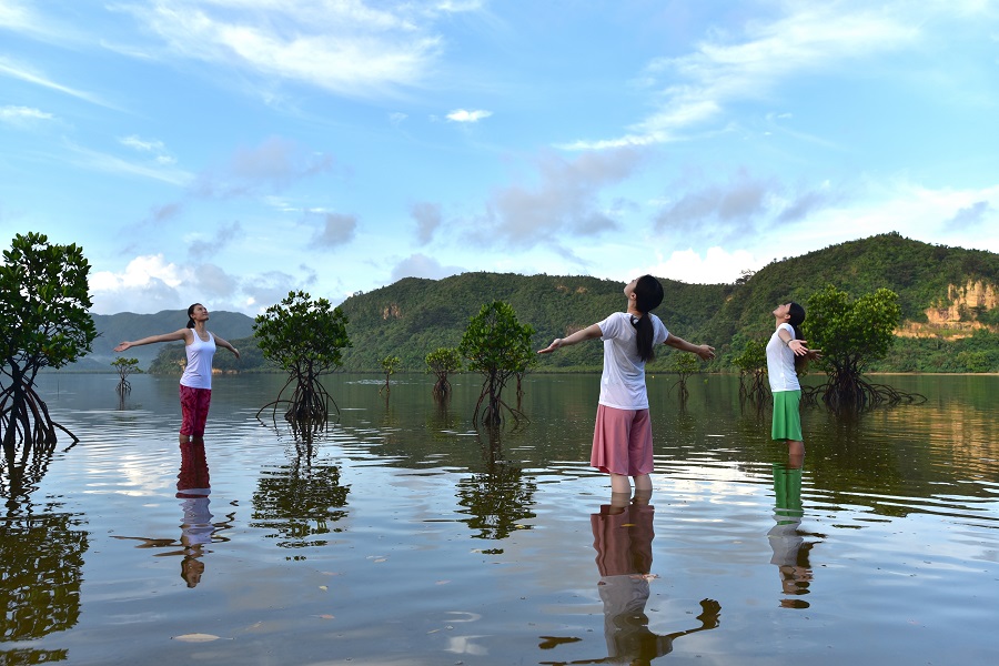 写真/無料で体験できる「マングローブ林で目覚めのストレッチ」