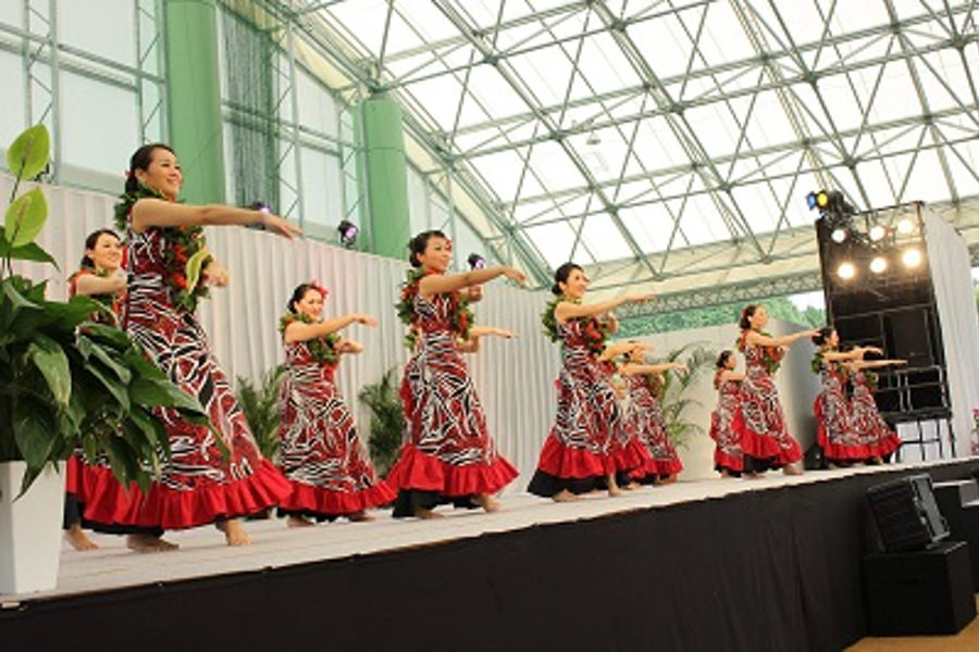 多彩な催しが楽しめる「九州フラ・フェスティバルin 嬉野温泉」 多彩な催しが楽しめる「九州フラ・フェスティバルin 嬉野温泉