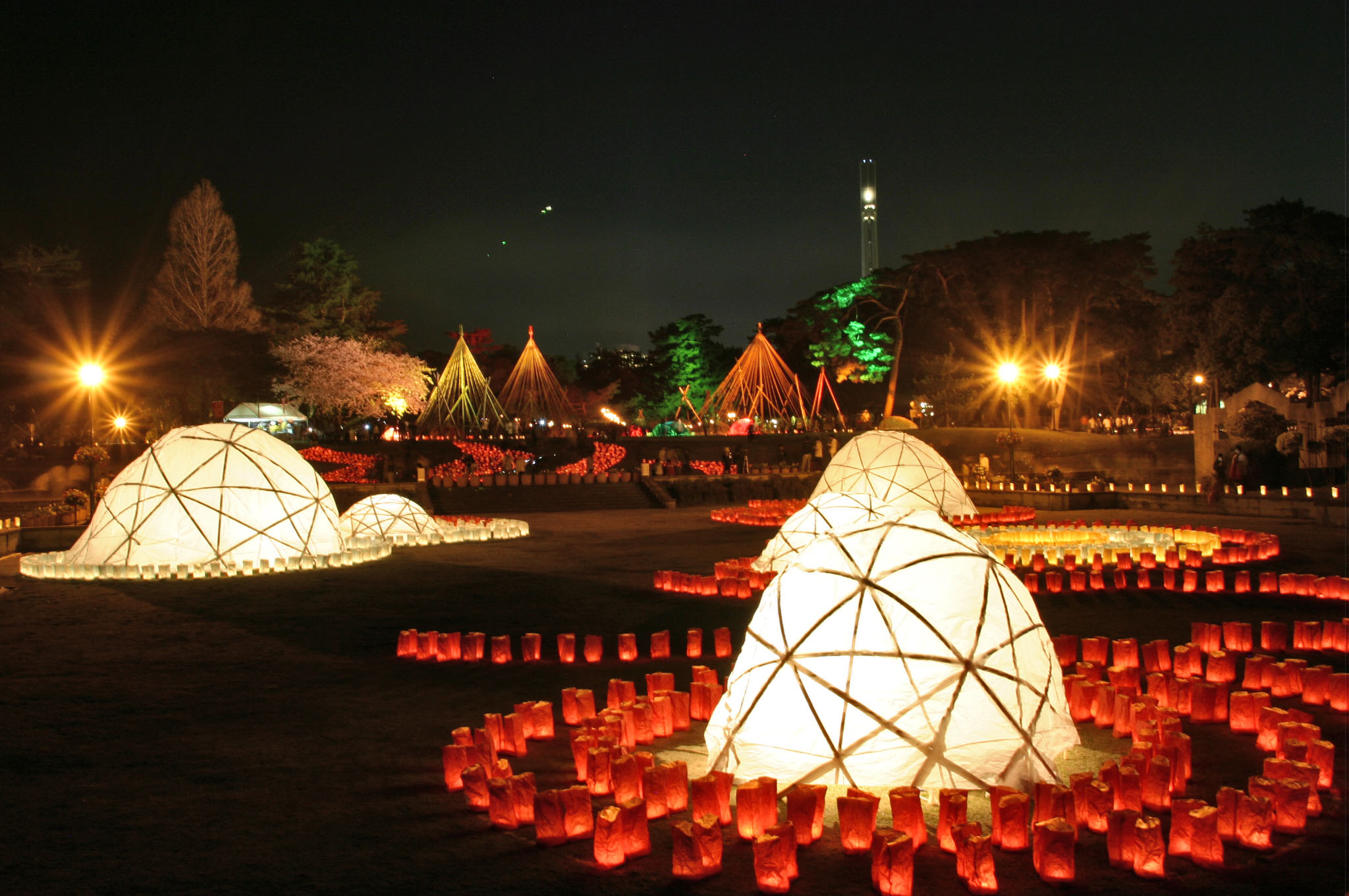 夜の闇を幻想的に照らす、別府公園の「千灯明」 夜の闇を幻想的に照らす、別府公園の「千灯明」