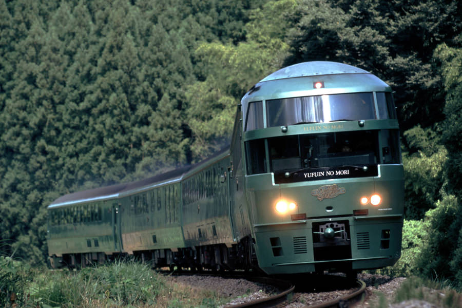 18歳から24歳限定の「ガチきっぷ」は、人気の特急ゆぶいんの森号でも利用できる ゆふいんの森号の車体