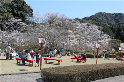 桜の名所としても知られる西渓公園