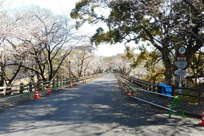復興が進む熊本城の行幸坂