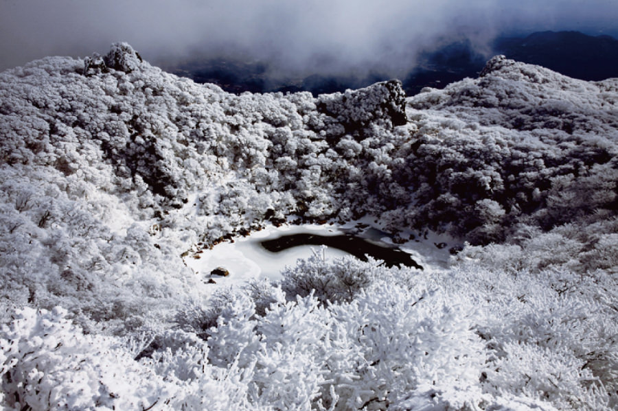 「雪花繚乱」中野孝一 「雪花繚乱」中野孝一