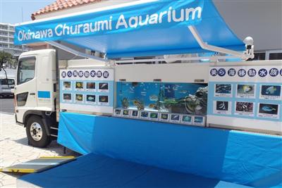 熊本県益城町に「美ら海出張水族館」がやってくる
