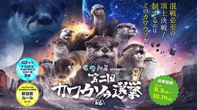 カワウソゥ選挙