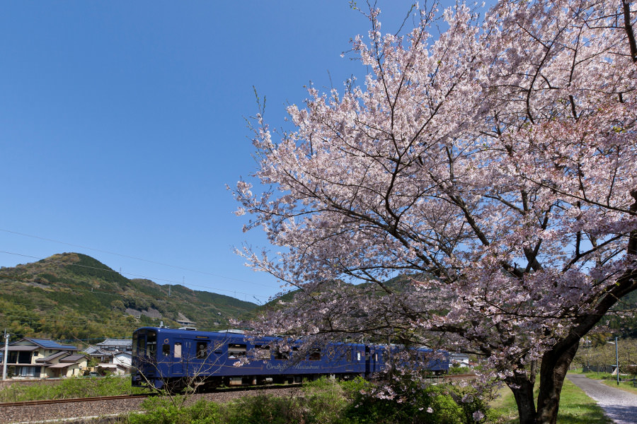 車窓からの景色が特別なティータイムに華を添えます