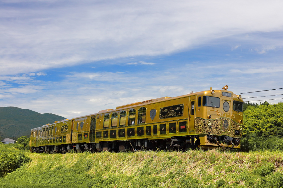▲鉄道をこよなく愛し、世界的な鉄道模型の神様といわれた故・原信太郎氏が作成した模型を元に、黒とゴールドを基調としたROYALなデザイン 黒とゴールドを基調としたROYALなデザイン