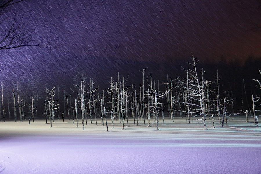 秋冬ならではの幻想的なライトアップが美しい「青い池」。点灯は日没〜21時まで。(11月1日〜4月末) ~美瑛に行こう 美瑛で泊まろう!~ 宿泊クーポン券