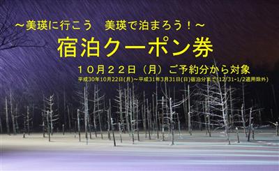 ～美瑛に行こう　美瑛で泊まろう！～ 宿泊クーポン券
