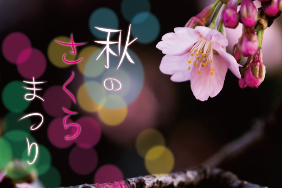 ▲桜の名所百選に選ばれる小城公園で秋のさくらイルミネーションを開催 ▲桜の名所百選に選ばれる小城公園で秋のさくらイルミネーション