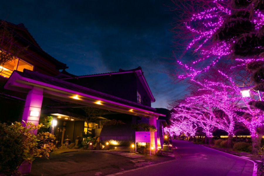 ▲69万個のLED電球を使った「桜イルミネーション」 ▲69万個のLED電球を使った「桜イルミネーション」