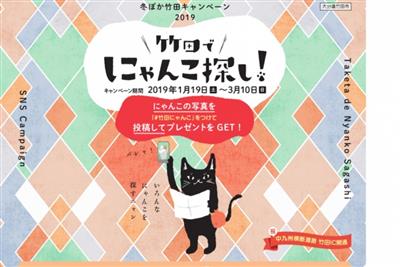 竹田で見つけたニャンコの写真をSNSに投稿しよう