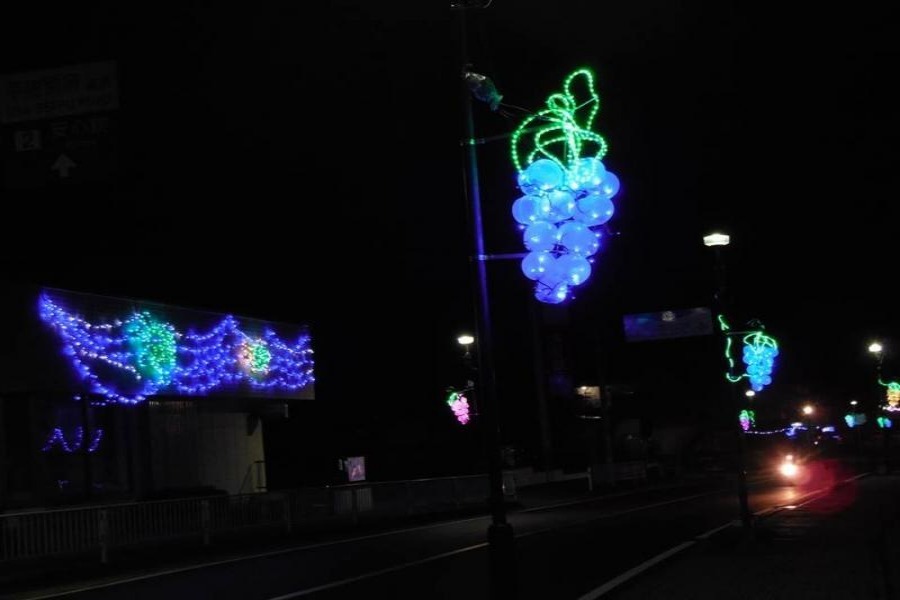 ▲安心院名物の「ぶどう」や「スッポン」をイルミネーションで表現! 安心院名物の「ぶどう」や「スッポン」をイルミネーションで表