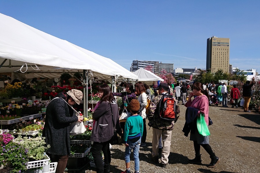 ▲子供からお年寄りまで楽しめる様々なイベントを開催中