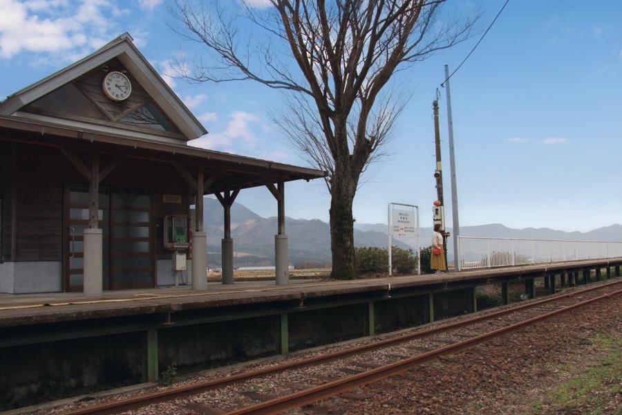 熊本の魅力を堪能できるプランを多数用意