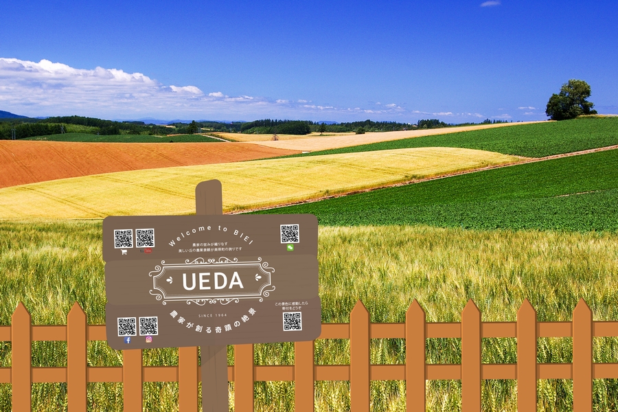 ベストショットが撮影ができる特別なポイントに看板を設置 美瑛畑看板プロジェクト