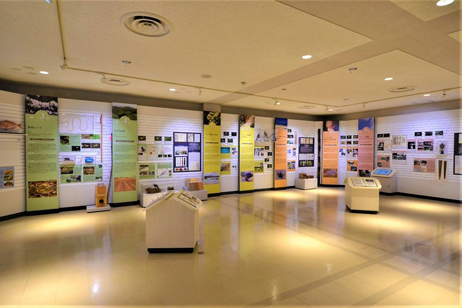 ▲島の自然と暮らしを月ごとに紹介するシマの一年コーナー(3階) 島の自然と暮らしを月ごとに紹介するシマの一年コーナー(3階)