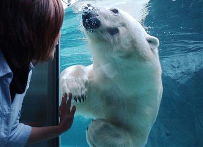 旭山動物園