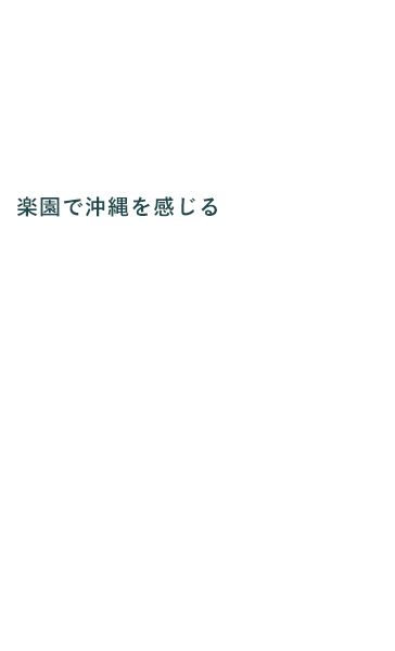 あたたかい冬の沖縄 やんばるの大自然に溶け込むカヌチャステイ