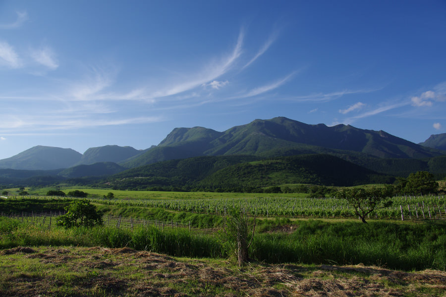 長湯温泉