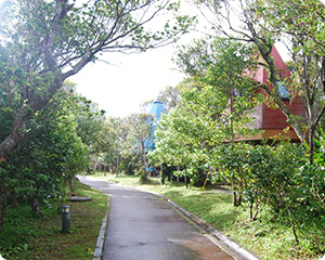 国頭村森林公園