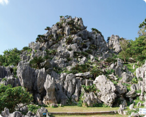 大石林山
