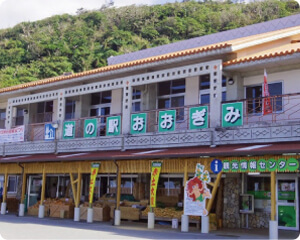 道の駅 おおぎみ