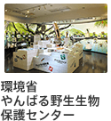 環境省やんばる野生生物保護センター