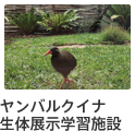 ヤンバルクイナ生体展示学習施設