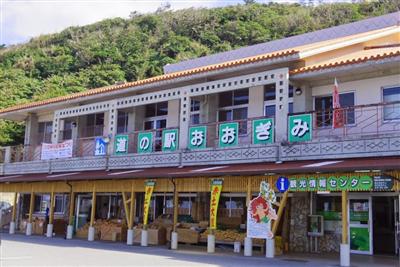 道の駅おおぎみ外観