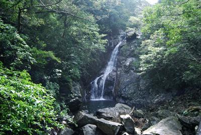 沖縄本島北部、国頭村の比地大滝（ひじおおたき）