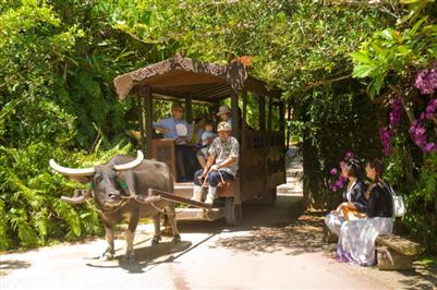 水牛車で園内をめぐるのが人気