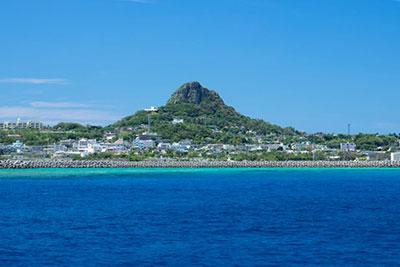 ゴールデンウィークに見頃を迎える名物のゆり祭