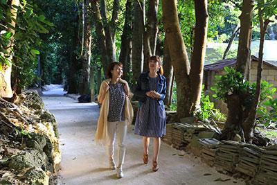 迷路のような並木道は、散策するにピッタリの場所だ