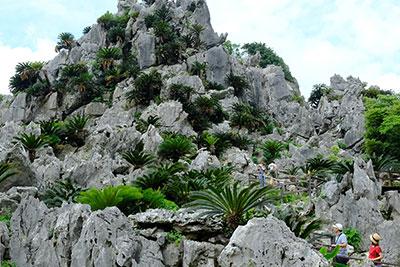 施設内で最もパワーが集中している場所だという「悟空岩」